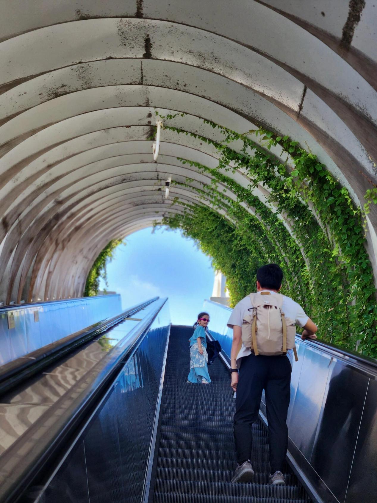 廈門旅遊指南封面圖